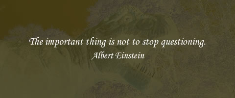 The important thing is not to stop questioning. Albert Einstein